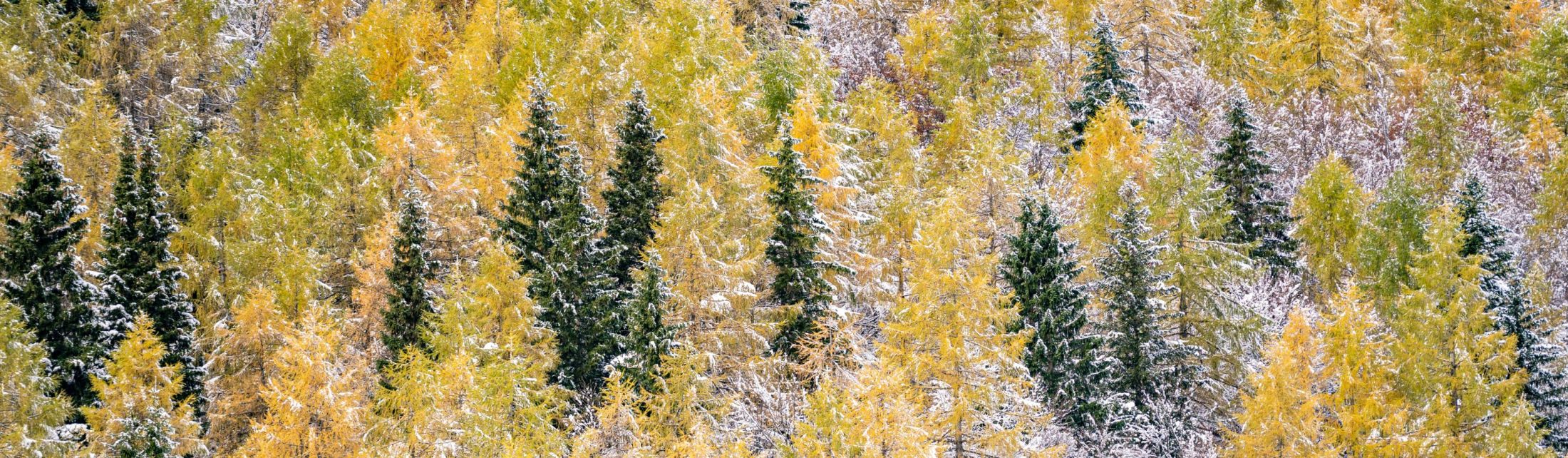 S Sport Vision-om po Sloveniji #12